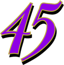 Race Car Number Gallery - 45