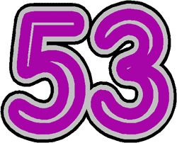 53