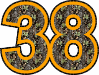 Race Car Number Gallery - 38