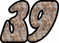 Race Car Number Gallery - 39